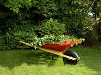 Yard Cleanup Wheelbarrow