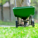 Lawn Fertilization