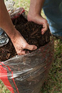 Mulching